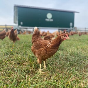 Farma Michaely Vojáčkové a Marka v Rašově