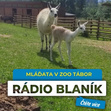 Začátek léta je v táborské zoo ve znamení mláďat