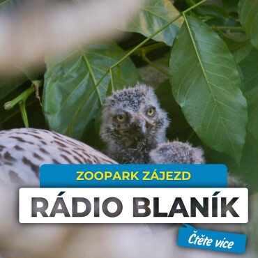 ZOOPARK ZÁJEZD - DNY ADOPTIVNÍCH RODIČŮ