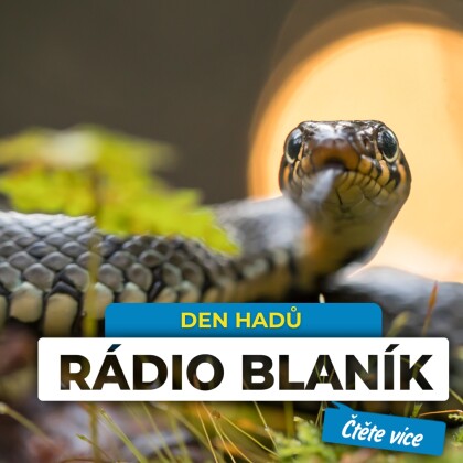 DEN HADŮ