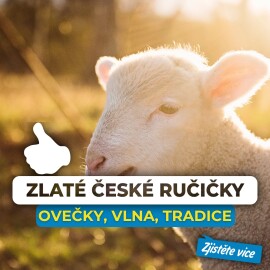 Zajímá vás, jak se z ovčí vlny stává ručně pletený svetr? Přijďte se naučit tradiční předení od Michaely.