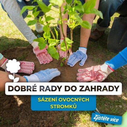 Podzimní sázení: Ideální čas pro výsadbu ovocných stromků a přípravu zahrady na jaro!